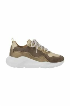 DWRS HAMILTON - Sneakers Brown